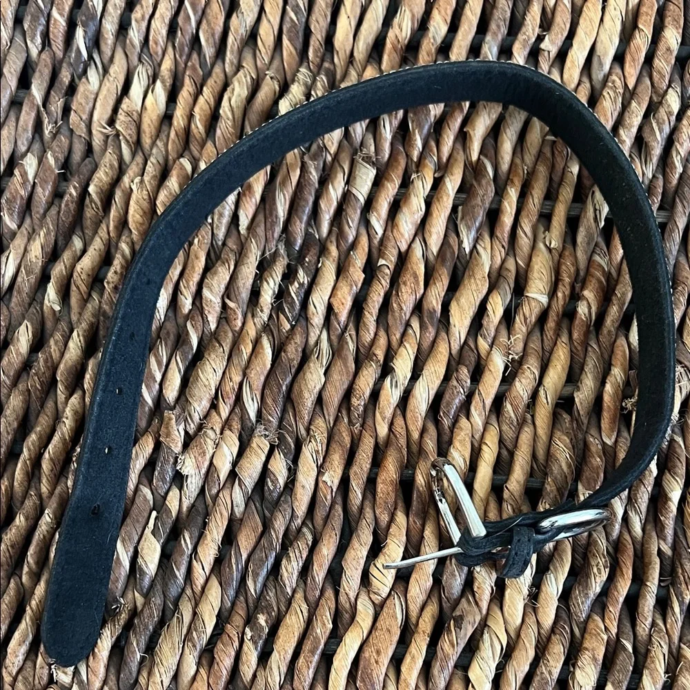 Elegant Black and Silver Dog Collar